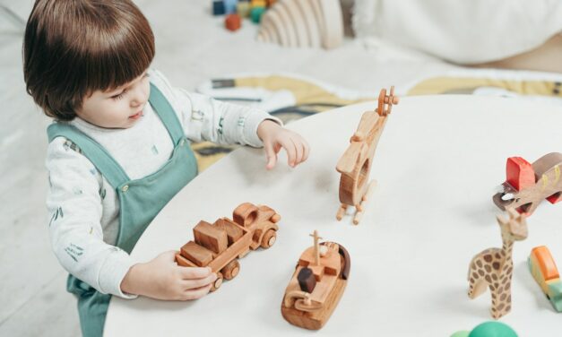 Beste Houten Speelgoed [Top 10] [2023 Update]